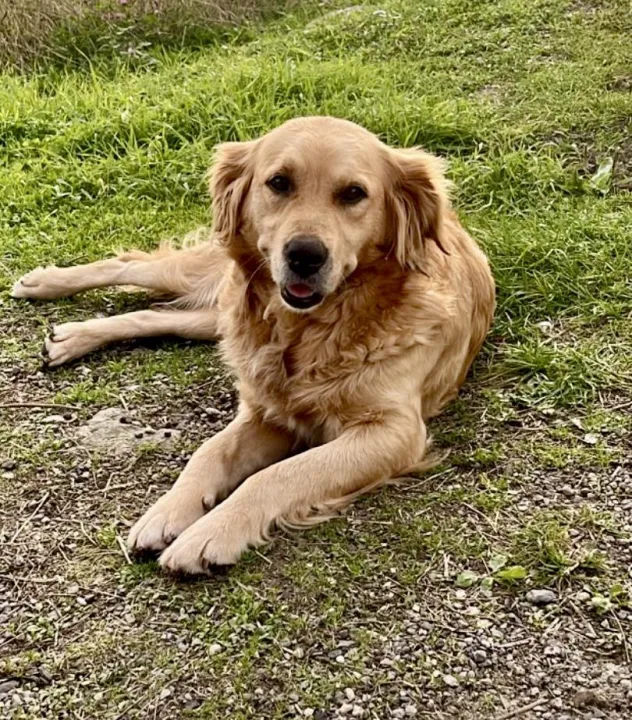 Anın Fotoğrafı