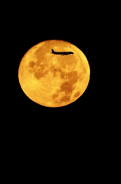 Anın Fotoğrafı