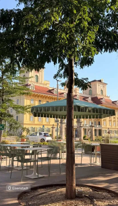 Anın Fotoğrafı