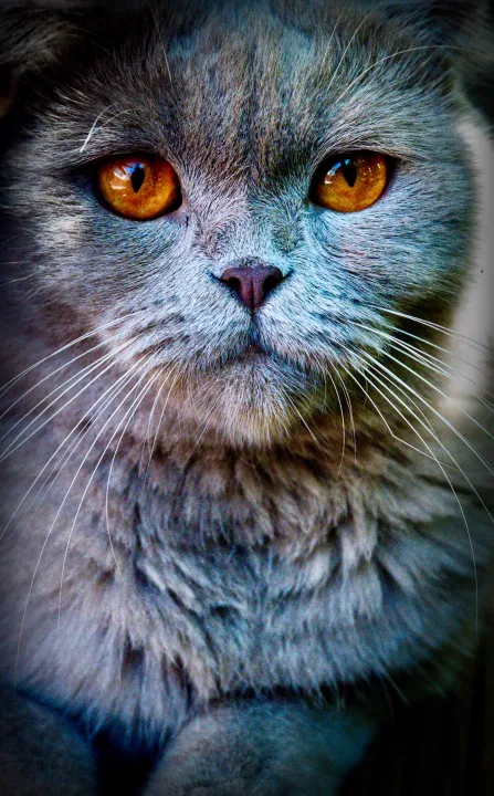 Anın Fotoğrafı
