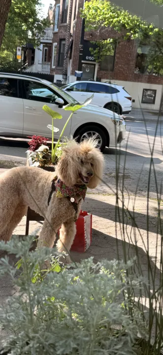 Anın Fotoğrafı