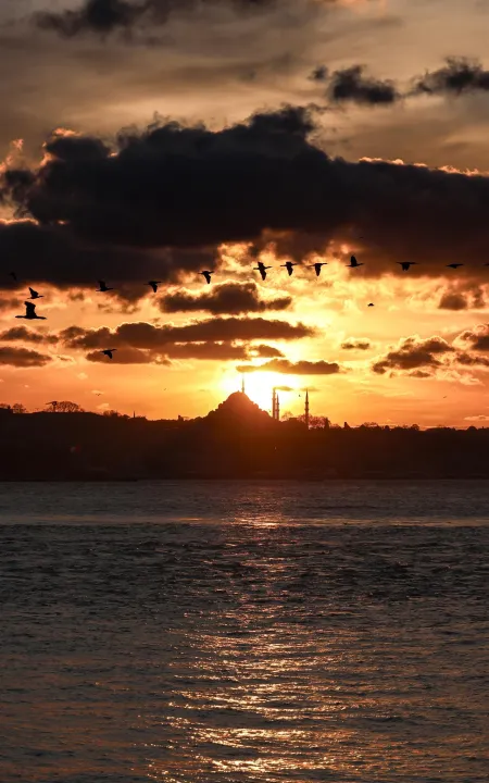 Anın Fotoğrafı