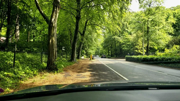 Anın Fotoğrafı