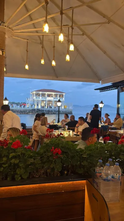Anın Fotoğrafı