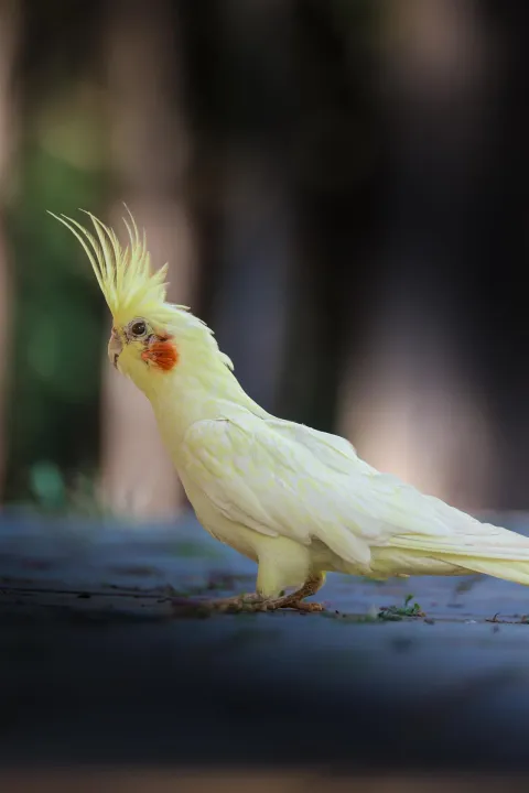Anın Fotoğrafı