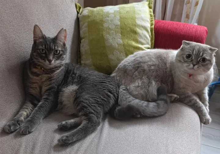 Anın Fotoğrafı