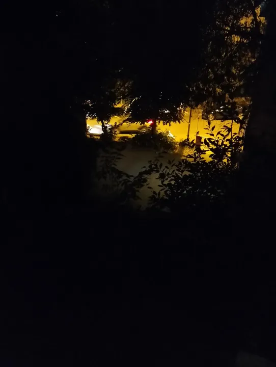 Anın Fotoğrafı