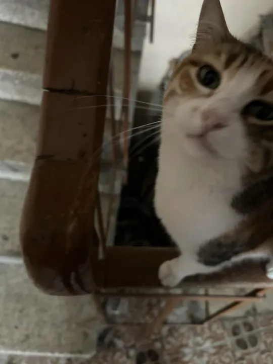Anın Fotoğrafı