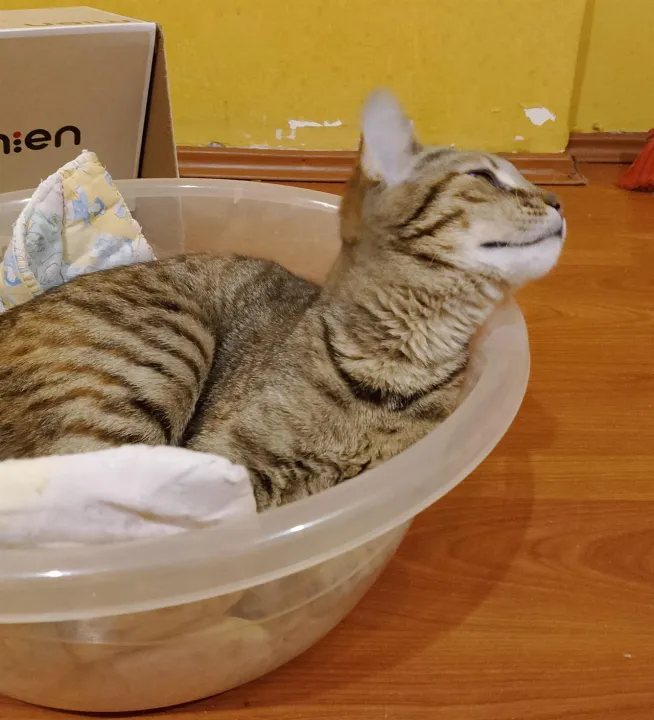 Anın Fotoğrafı