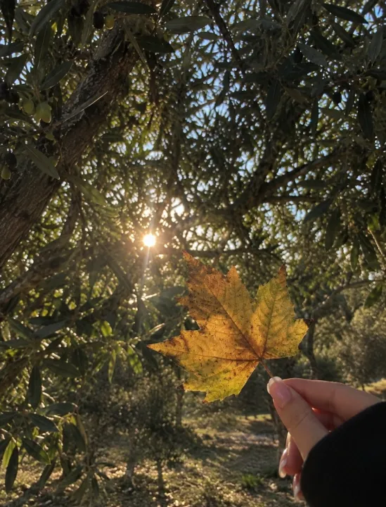 Anın Fotoğrafı