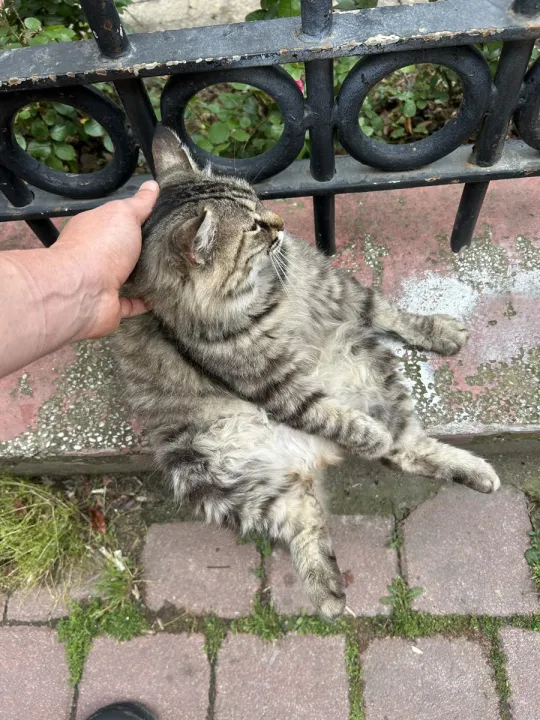 Anın Fotoğrafı