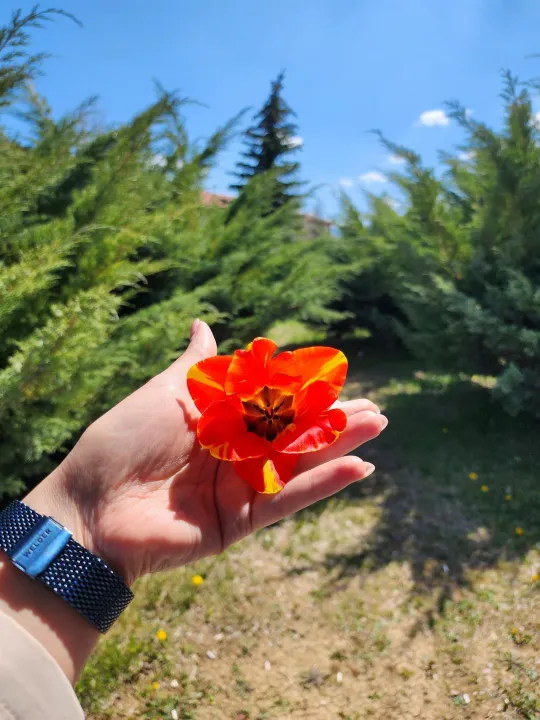 Anın Fotoğrafı