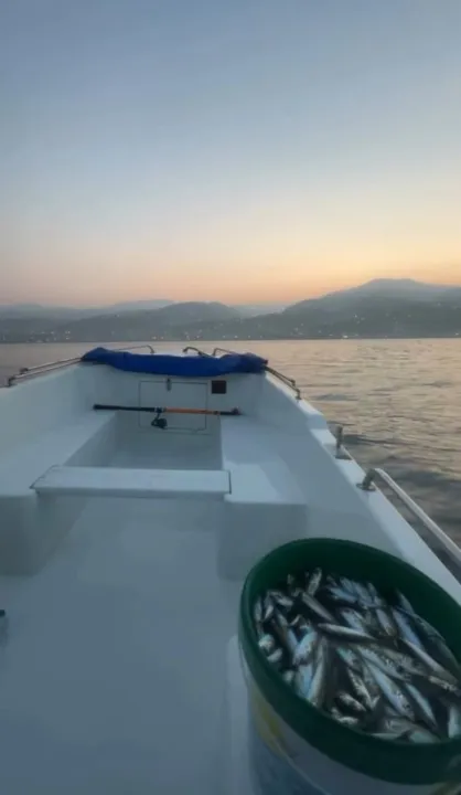 Çoklu paylaşım