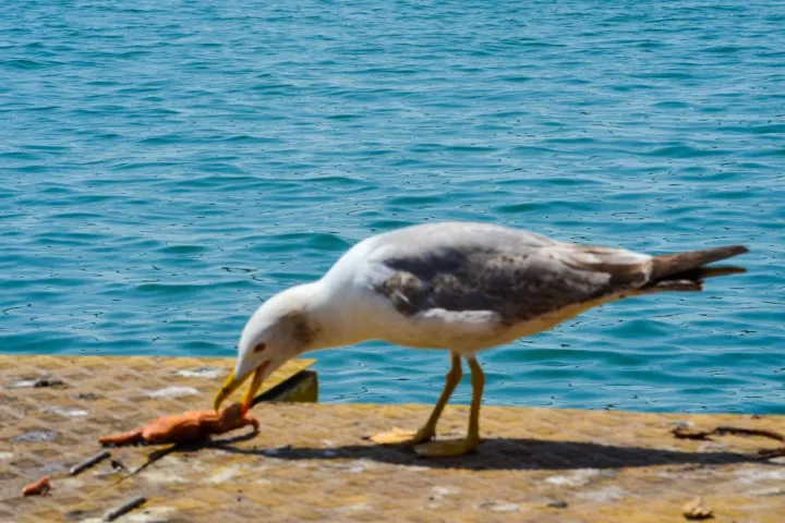 Anın Fotoğrafı