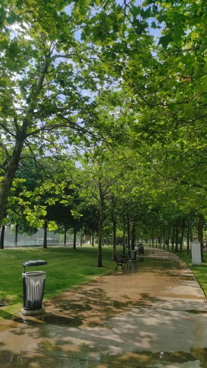 Anın Fotoğrafı