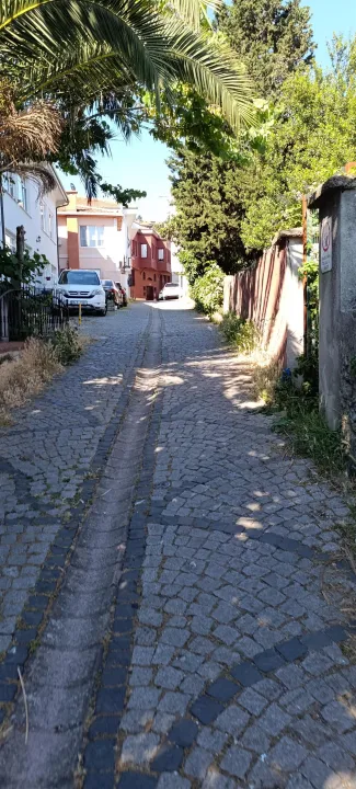 Anın Fotoğrafı