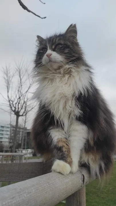 Anın Fotoğrafı