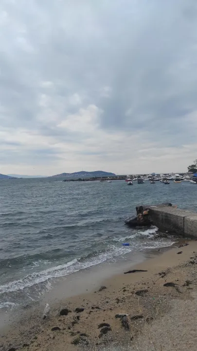 Anın Fotoğrafı