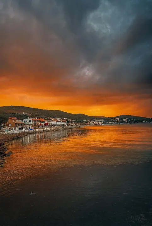 Anın Fotoğrafı