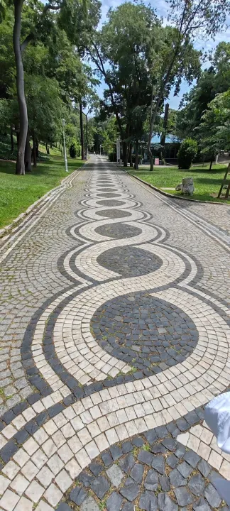 Anın Fotoğrafı
