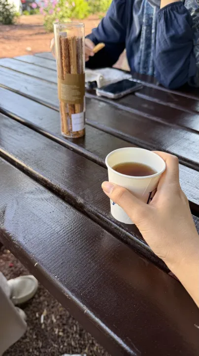 Anın Fotoğrafı