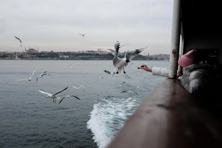 Anın Fotoğrafı