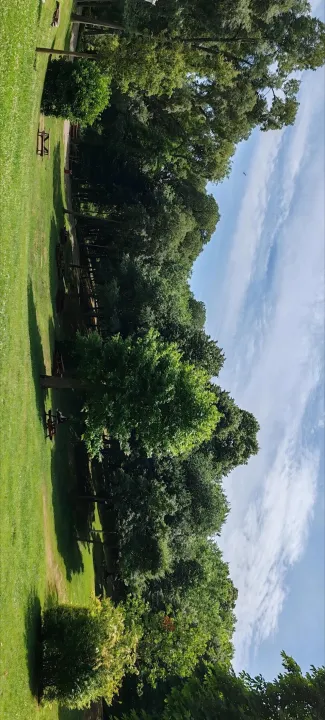 Anın Fotoğrafı