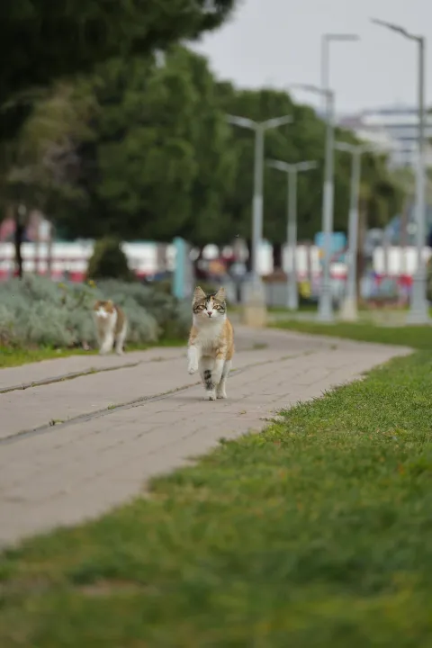 Anın Fotoğrafı