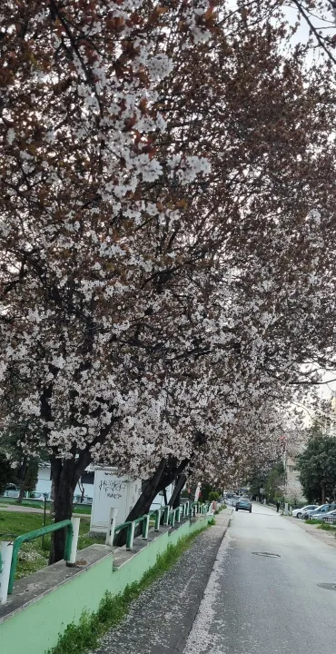 Anın Fotoğrafı