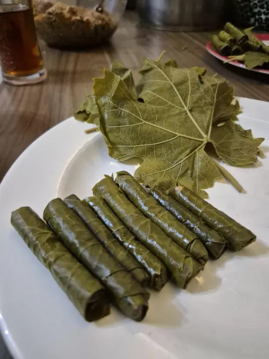 Anın Fotoğrafı