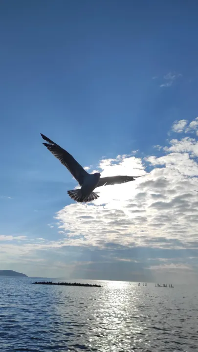 Anın Fotoğrafı