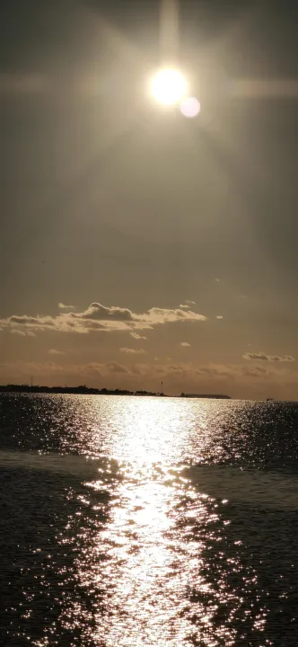 Anın Fotoğrafı