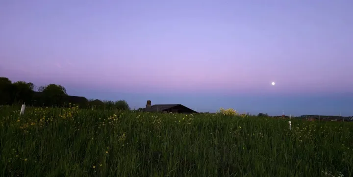 Anın Fotoğrafı