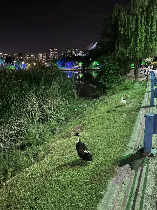 Anın Fotoğrafı