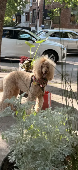 Anın Fotoğrafı