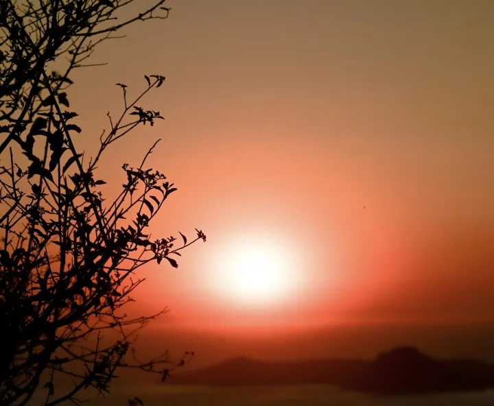 Anın Fotoğrafı