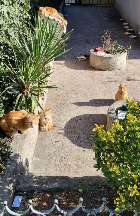 Anın Fotoğrafı