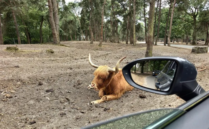 Anın Fotoğrafı