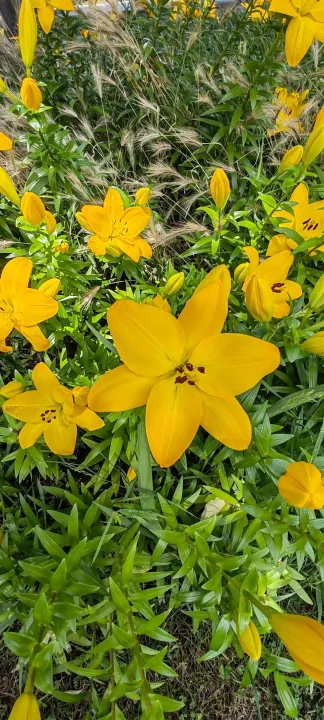 Anın Fotoğrafı