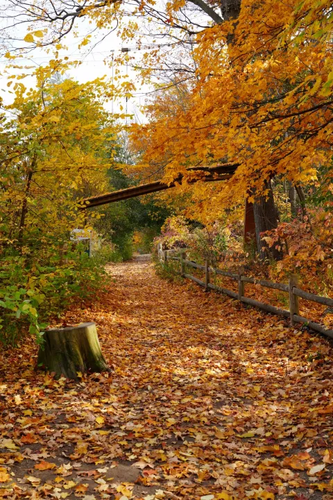 Anın Fotoğrafı