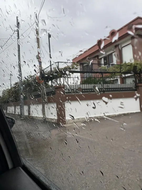 Anın Fotoğrafı