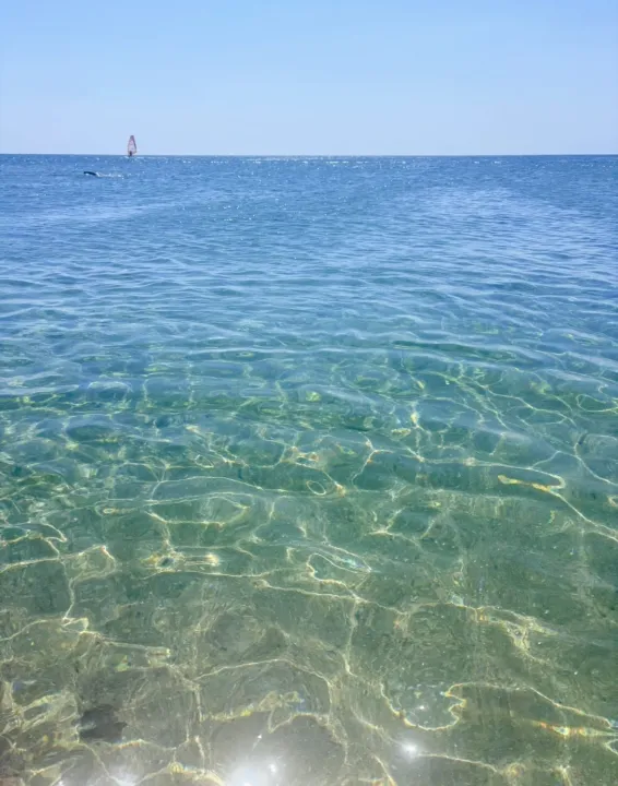 Anın Fotoğrafı