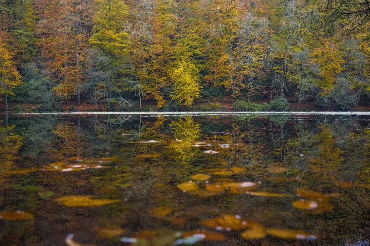 Anın Fotoğrafı