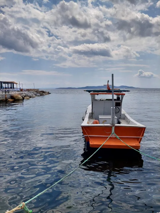 Anın Fotoğrafı