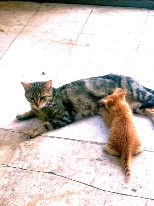 Anın Fotoğrafı