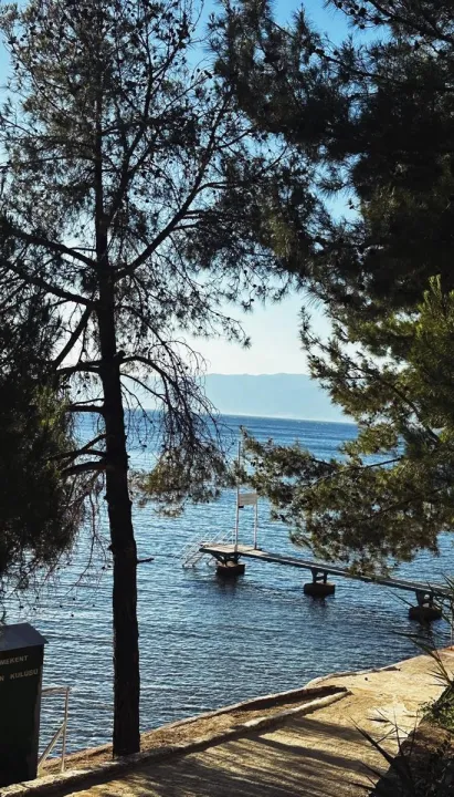 Çoklu paylaşım