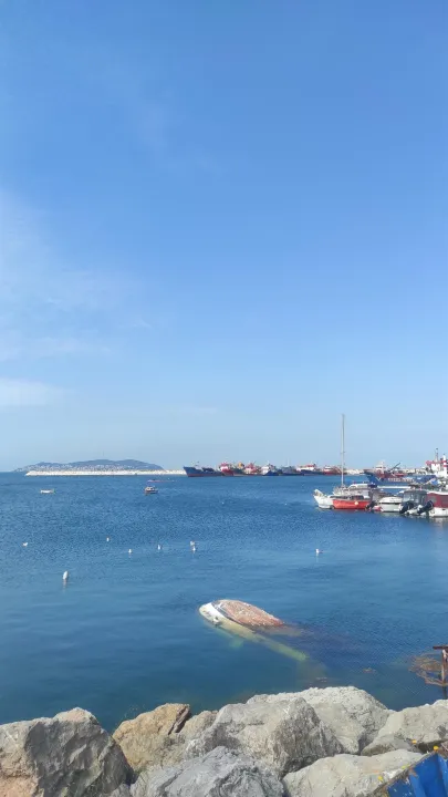 Çoklu paylaşım