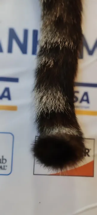 Anın Fotoğrafı