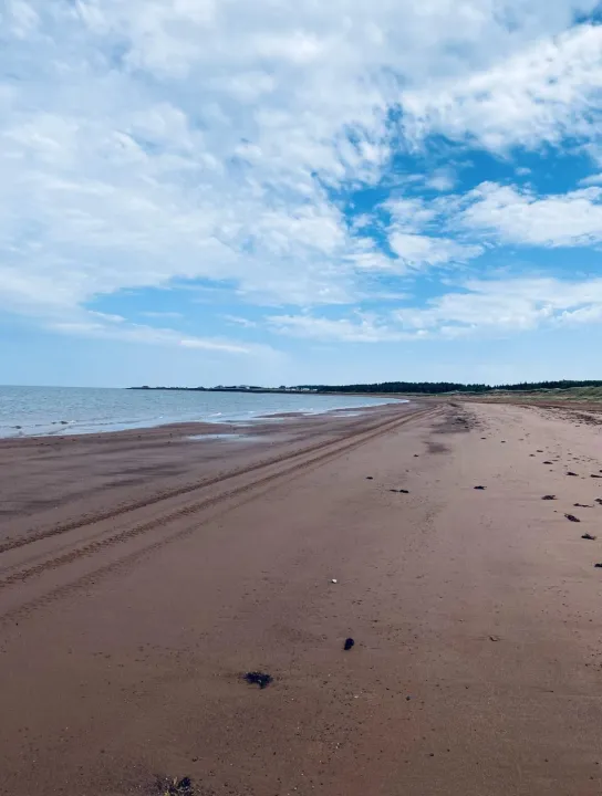 Anın Fotoğrafı