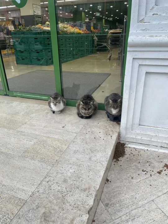 Anın Fotoğrafı